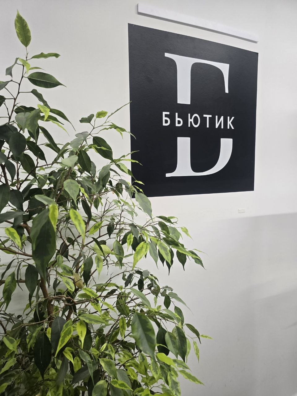 Студия Бьютик в Витебске